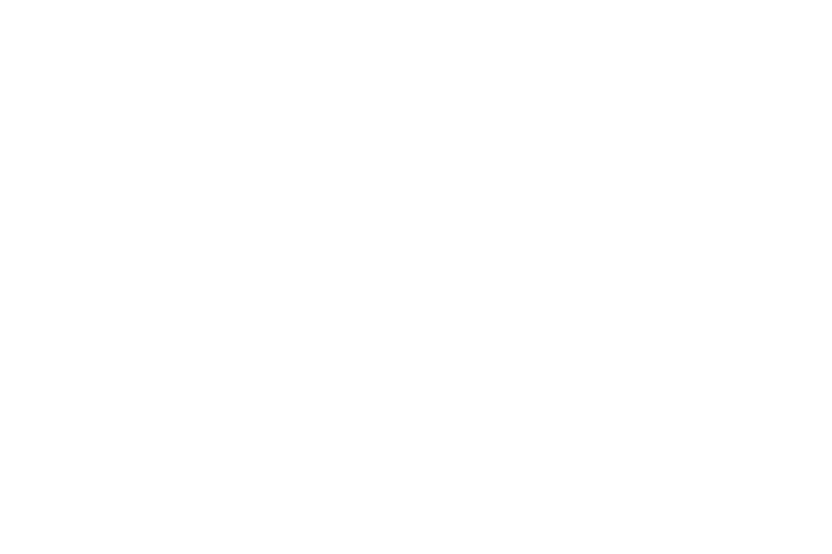 Blotti